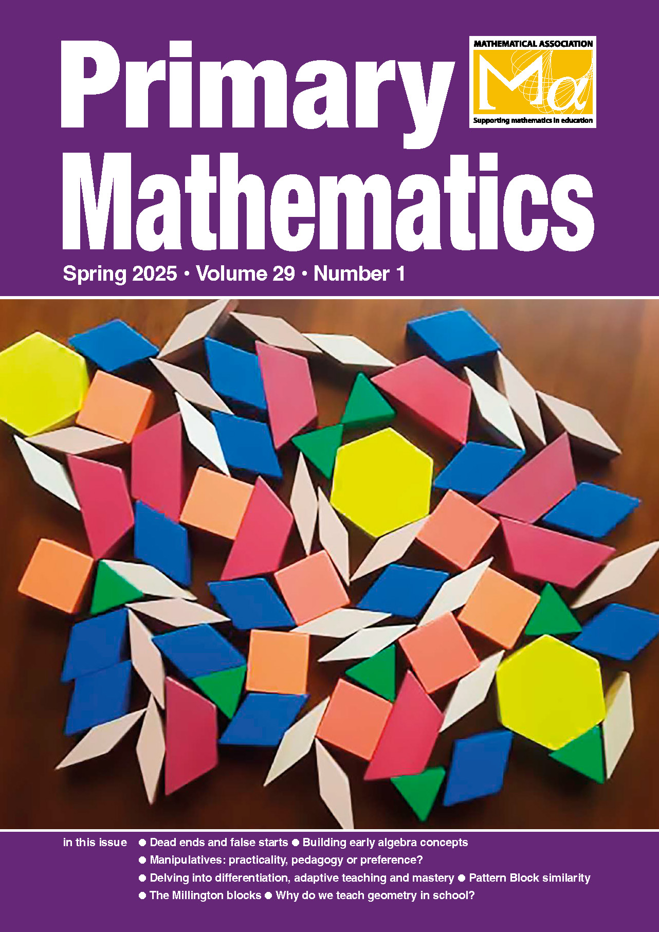 Primary Mathematics Journal